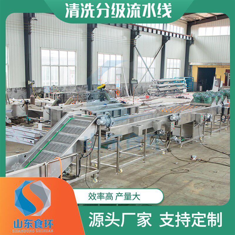 红薯土豆地瓜清洗烘干打蜡分级流水线橙子龙眼大枣清洗分级流水线