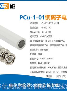 海铜离子PCu-1-01电-1-01实验极室离电上极探子头