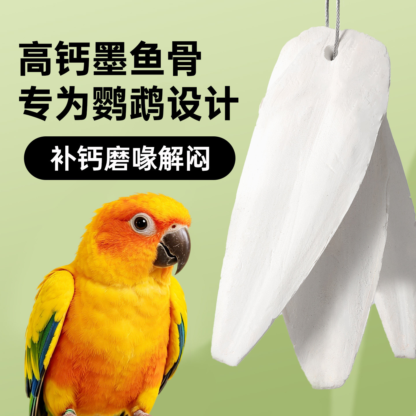 天然墨鱼骨鹦鹉专用牡丹虎皮珍珠鸟小太阳乌龟补钙啃咬磨牙棒大块