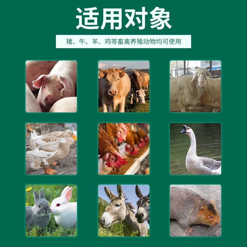 饲料脱霉剂兽用猪牛羊饲料添加剂脱霉母猪孕畜预混料鸡玉米脱霉净