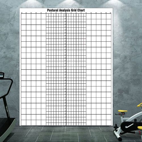 英文版体态评估表墙纸健身房体姿背景墙装饰画体测评估图格子壁纸