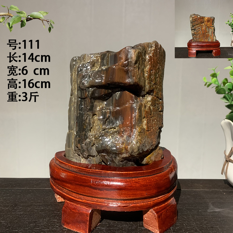 天然木化石原石硅化木树化玉石头观赏石奇石玉石家居装饰收藏摆件