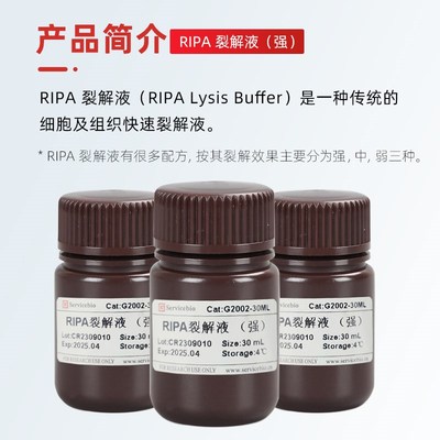 Servicebio赛维尔G2002 RIPA 裂解液(强) 制备蛋白样品裂解液