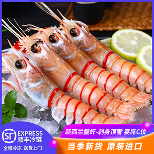 新西兰鳌虾刺身进口斯干比海鳌虾scampi刺身特大新鲜鲜活刺身日料