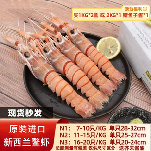 新西兰进口深海鳌虾scampi斯干比南极特大小龙虾日料 1/2/3号