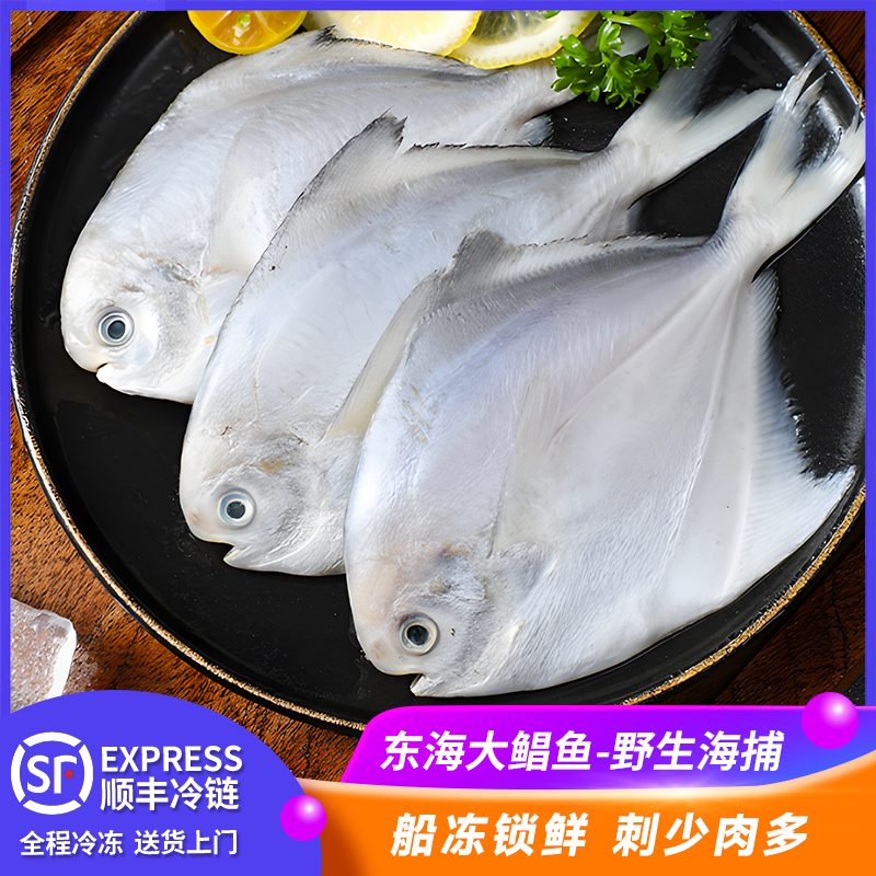 新鲜银鲳鱼金鲳鱼冷冻海鲜水产鲜活海鱼小鲳鱼昌鱼平鱼鲳鳊鱼晶鱼