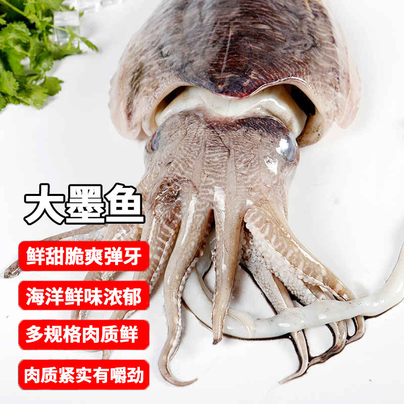 墨鱼 新鲜海捕大墨鱼冷冻墨鱼墨斗鱼火锅食材海鲜水产生鲜软足类,水产肉类/新鲜蔬果/熟食,冷冻墨鱼/冷冻墨鱼仔,淘宝优惠券,粉丝福利购,淘宝优惠卷