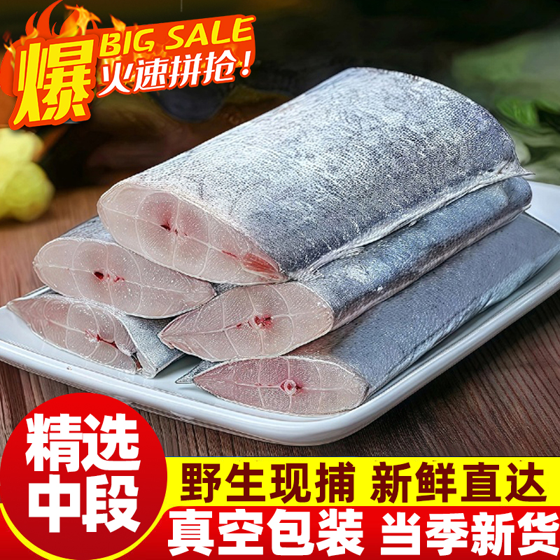 带鱼段新鲜大段纯中段无冰冷冻