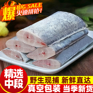 带鱼段新鲜大段纯中段无冰大号冷冻鲜活带鱼块特大深海鱼海鲜水产