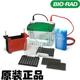 Trans bio rad Mini Cell伯乐小型电泳转印槽1703930 Blot