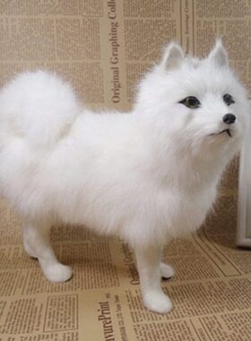 仿真狗萨摩耶动物模型摆件真皮毛手工艺品装饰品儿童礼物道具玩具