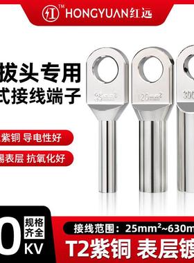 欧式铜端子插拔头铜接线端子分支箱电缆接头镀锡铜鼻子OTD