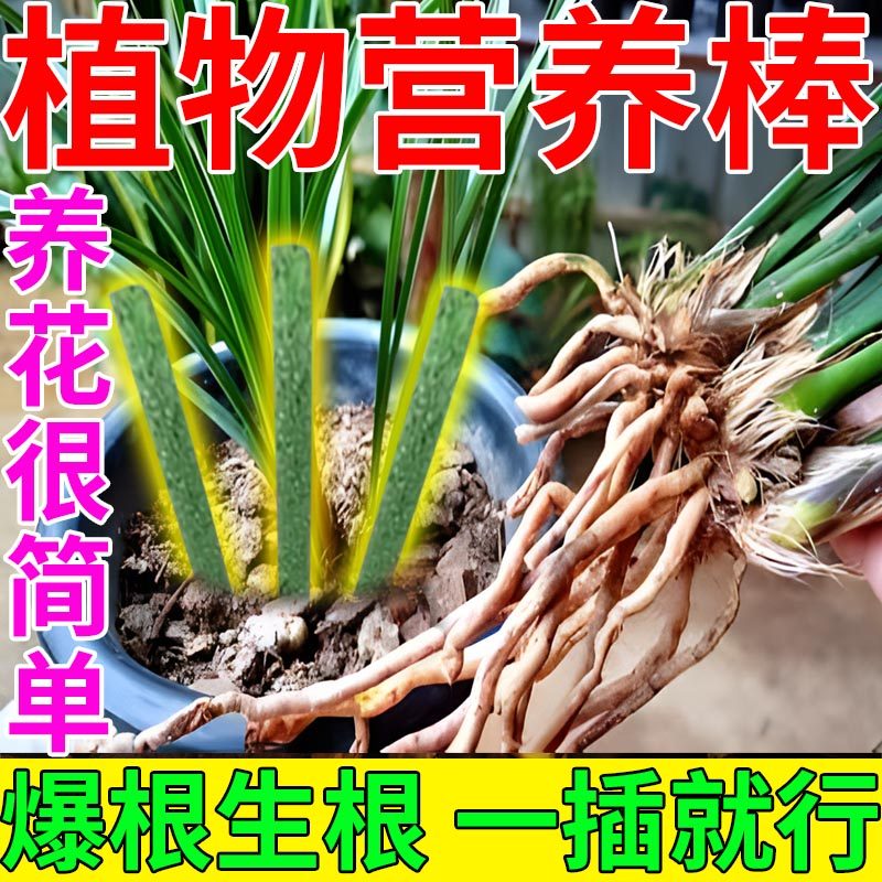 植物营养棒【一插就好】爆根生根兰花肥料专用肥花卉盆栽肥料专用