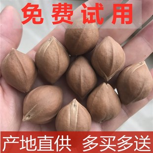 橄榄核原籽饱满短圆核近正圆光珠佛串念珠双面罗汉梅林铁核红油核