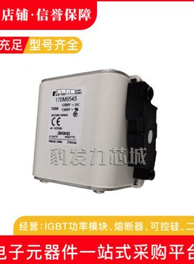 170M6538 170M6539 170M6540 170M6541 170M6542 170M6543熔断器