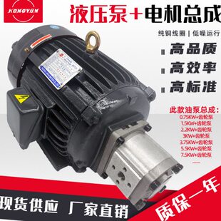 液压油泵电机组CBN+1.5KW2.2KW液压泵总成内轴电机液压站配件系统