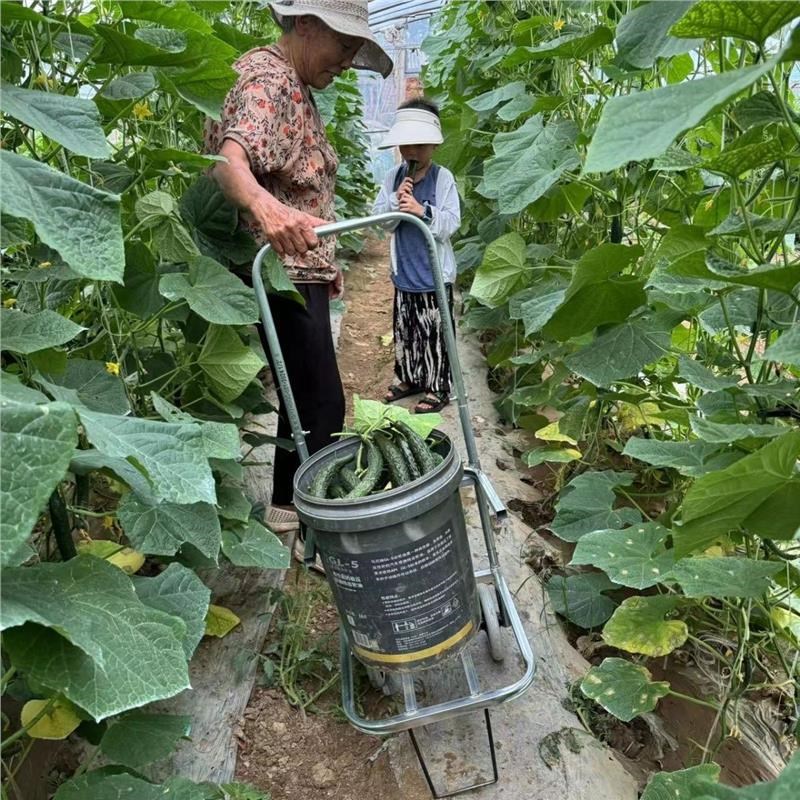 新款农用撑袋瓜果蔬菜移动采摘运输车懒人便携式推拉农用工具通用