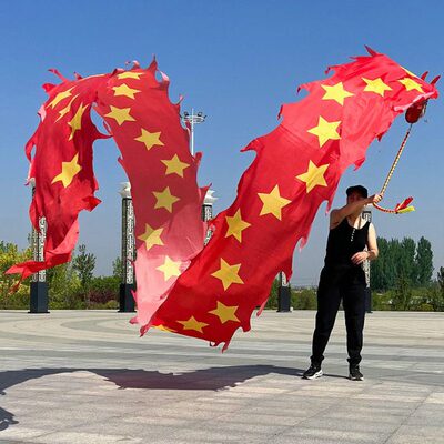 中老年男女健身龙带甩彩带中国红五角星彩绸钢架龙头抖抛舞龙道具