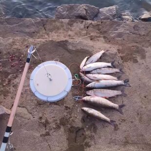 钓鱼盘血滴子钓红眼鱼神器鱼钩挂鸡肠的鳟鱼赤眼鲮鱼抛投垂钓