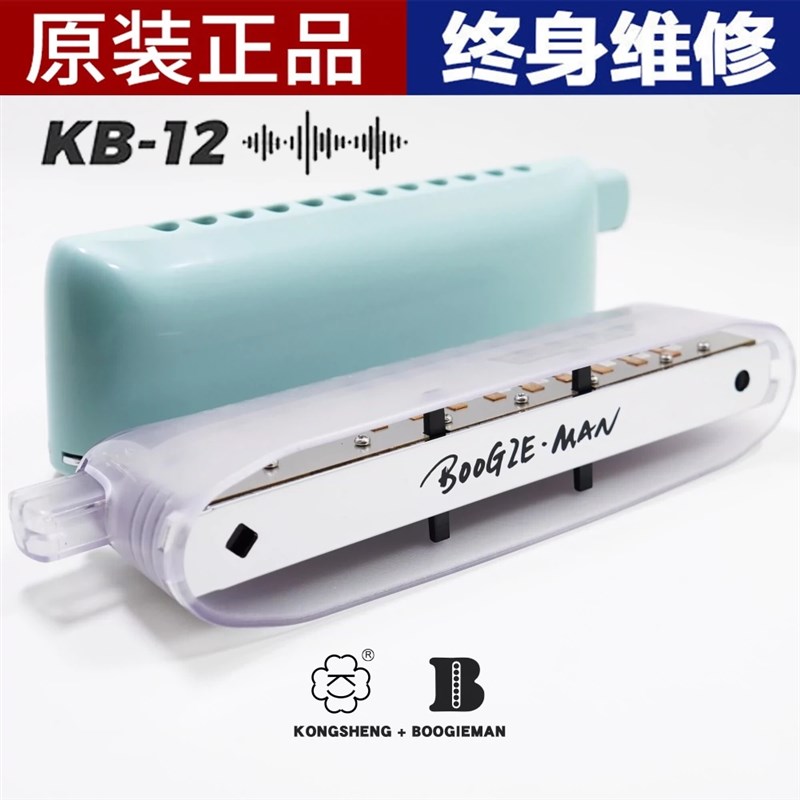 KB12 半音阶口琴演奏12孔c调初学者E学生树脂性价比BoogieMan