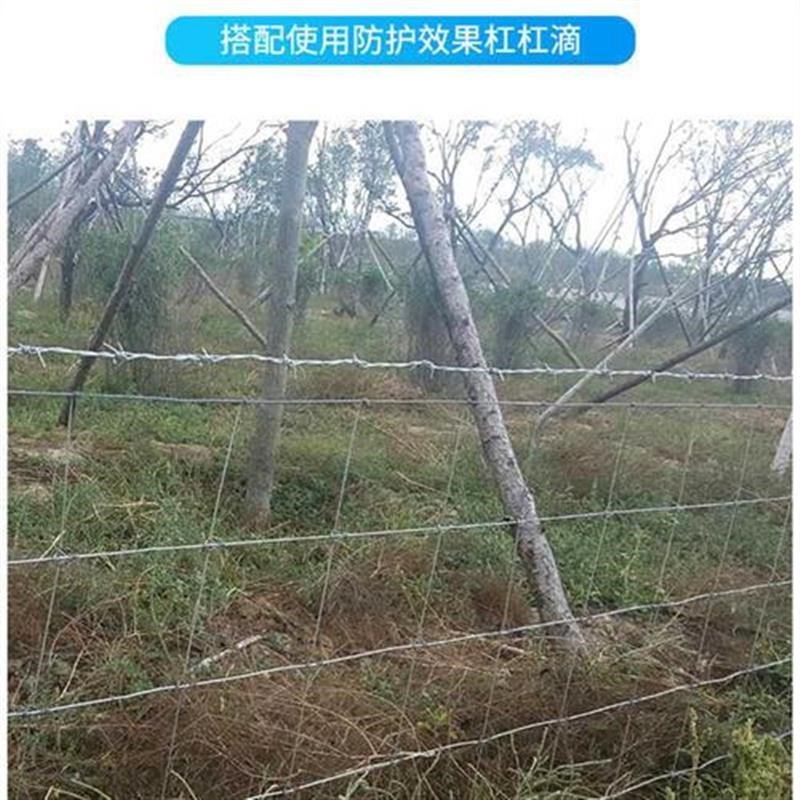 速发镀锌铁丝网牛栏网养殖防x护网隔离网格养牛羊钢丝护栏网果园