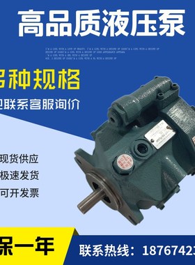 变量柱塞泵 V8A1RX-20 V15 v23 v38 v50 A4/A3/A2/A1RX-95/30/20
