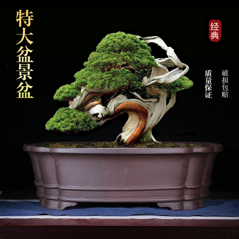 特大号紫砂花盆长方形树桩有孔盆大号超大号庭院海棠马槽陶瓷花盆