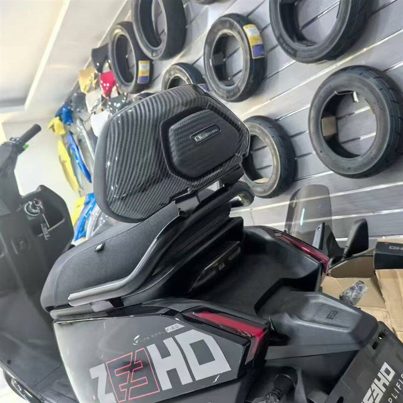 适用电动车极核AE4加大加厚加软靠背改装配件后座背靠扶手配件