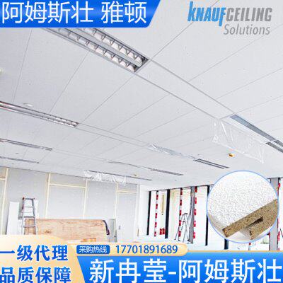 阿姆斯壮雅顿SL2暗架矿棉板300×1200条形吸音磨砂吊顶天花W4667