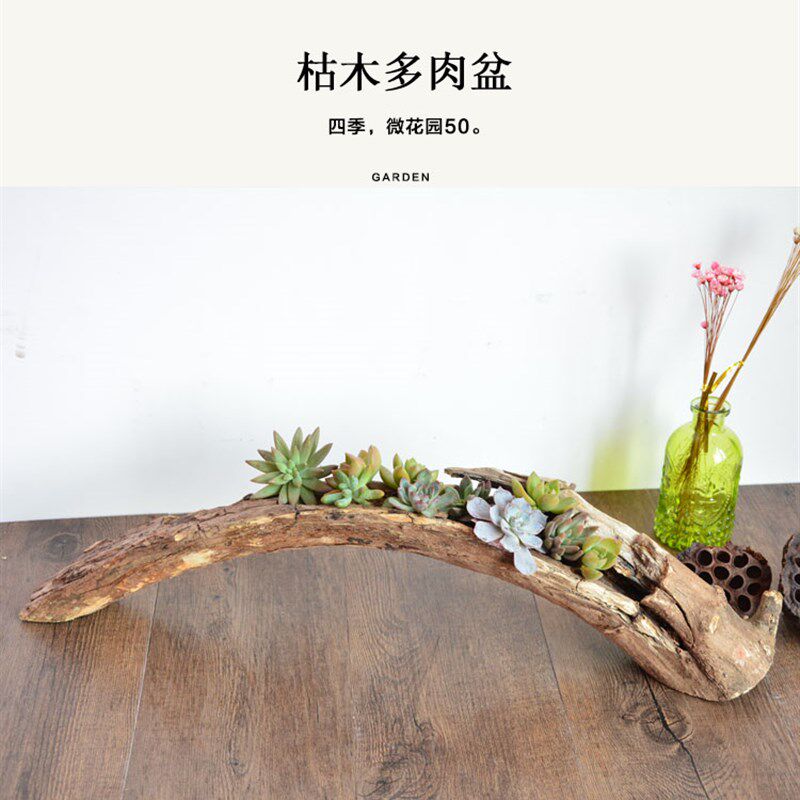 多肉花盆自然原木质树桩根花盆枯木朽木石斛田园大多Y肉植物花盆
