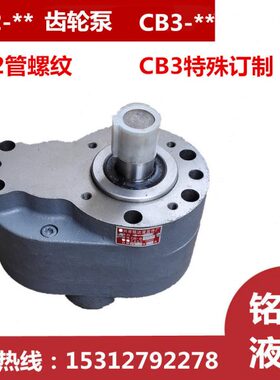 CB2/CB-BM-32/40/50/63/80/100/125/25/20/16/10/6齿轮油泵CB3-BC
