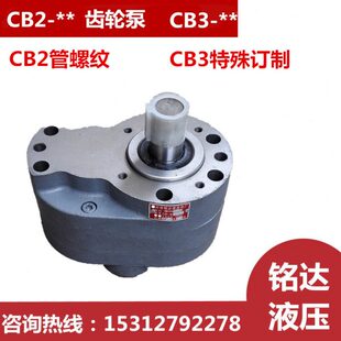 CB2 125 100 6齿轮油泵CB3