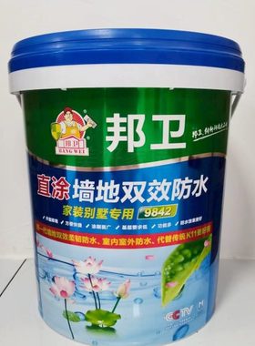 邦卫新一代直涂墙地双效防水家装别墅专用室内室外防水涂料蓝色
