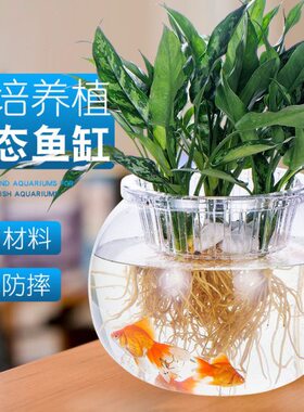 防摔透明塑料水培植物水养绿萝玻璃PC花瓶客厅桌面摆件造景小鱼缸