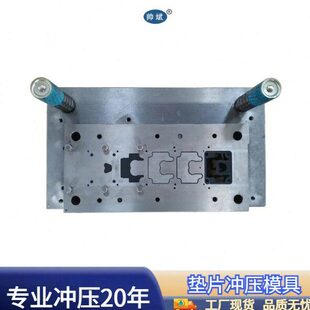 垫片冲压模具 慢丝模具 厂家冲压模具 连续冲压模具