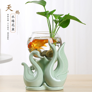 创意绿萝水培植物玻璃透明养花花瓶插花容器陶瓷花盆桌面装 饰摆件