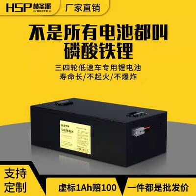 宁德时代磷酸铁锂电池72v60v48v三四轮电动车大容