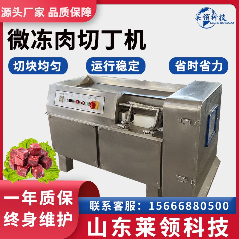 商用立式微冻肉切丁机 多功能牛肉连续切粒机 不锈钢切肉丁设备