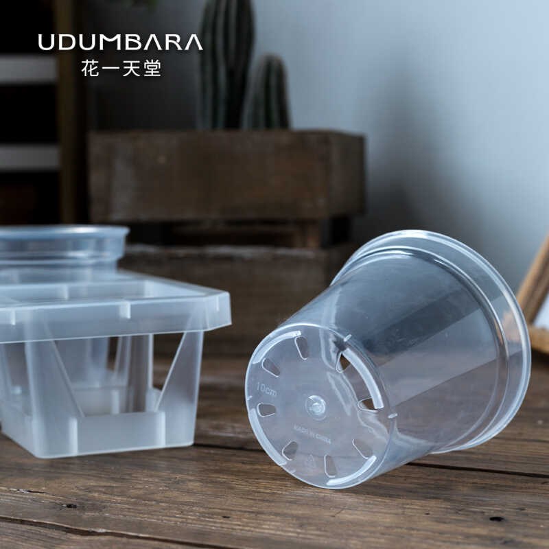 透明塑料花盆石斛蝴蝶兰花秋海棠海芋扦插试验观根繁殖育苗杯托架