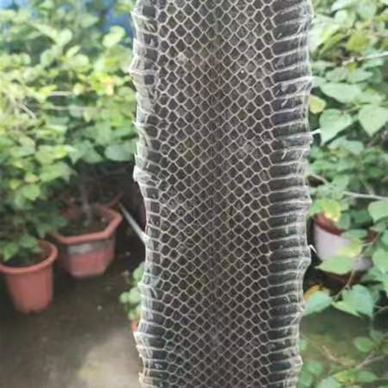 乐器配件精选整条乌稍皮越胡皮京胡西皮二黄京二胡曲胡蒙皮乐器皮