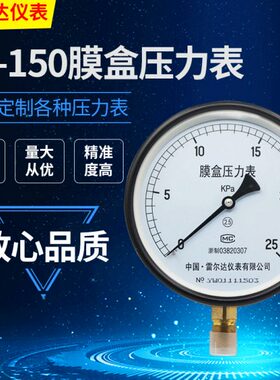 雷尔达仪表 膜盒压力表 微压表 千帕表 KPa YE-150 (LEIERDA)