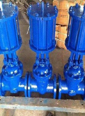 Z641W不锈钢气动闸阀Z641H