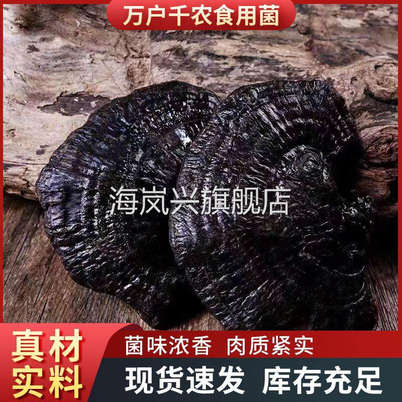 山东灵芝之乡无柄黑灵芝原产地黒芝个切片质量保障 现货