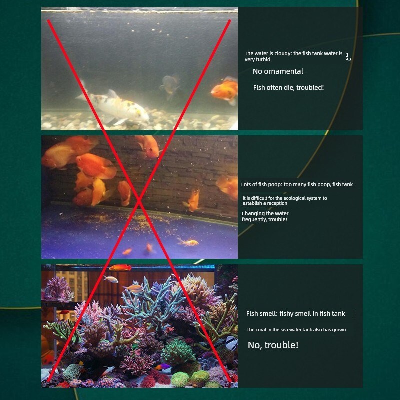 鱼缸活性炭滤料水族海鲜水产椰壳碳去腥P除黄净水鱼池滤料