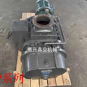 150 300 600 增压气泵 供应罗茨泵 1200 罗茨真空泵机组ZJP