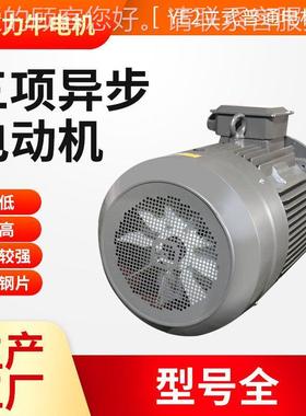 YE2-3152L-2-200三相异步电77动机380V交动流 电机 卧式纯铜线电