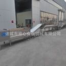 预制菜根茎类流水线 毛辊清洗净菜流水线 根茎类蔬菜清洗设备