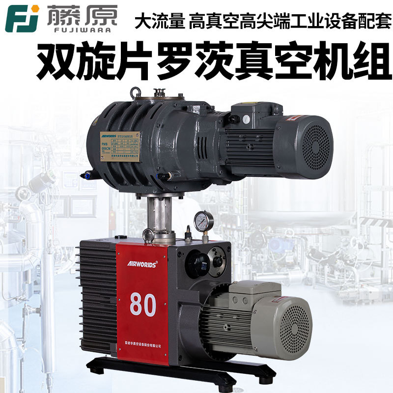 藤原双级旋片真空泵大流量工业级爱德华罗茨泵实验镀膜真空泵机组