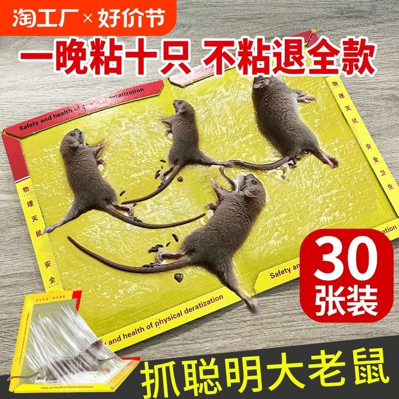 粘鼠板强力粘鼠标超强老鼠贴新款家用强力胶抓杀大老鼠老鼠板灭鼠,农机/农具/农膜,排灌设备,淘宝优惠券,粉丝福利购,淘宝优惠卷