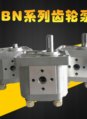 齿轮泵CBN-E310 CBN-E306 CBN-E316 E320 E325 E314 E308液压油泵